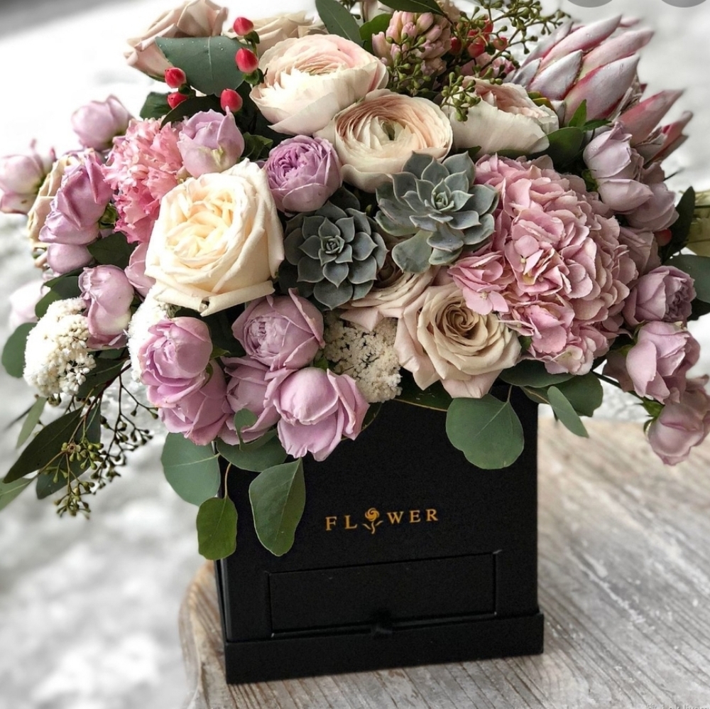 Meet your Posher, Ki